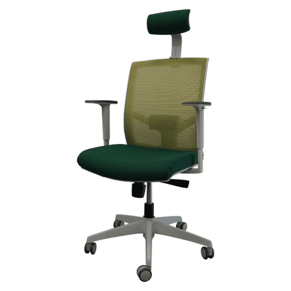 Space Supreme Sillon Ejecutivo Verde Ergnómica | Silla de Oficina